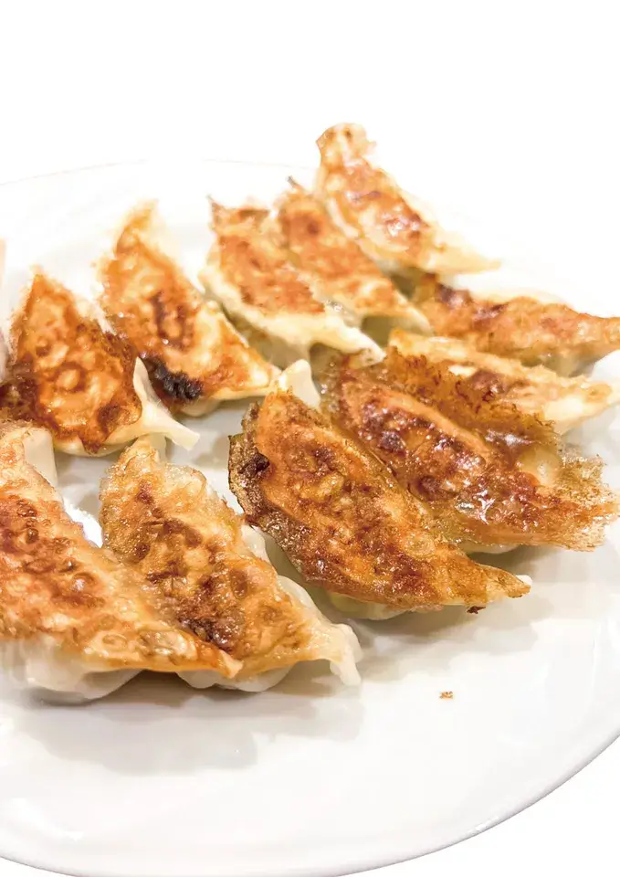 泉佐野ギョーザ